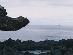 -涉地可支