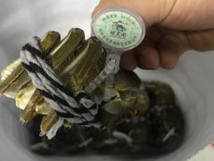 -阳澄湖大闸蟹·琼灵阁牌品牌连锁(吴中总店)