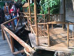 -上海大自然野生昆虫馆(东方明珠·爬宠昆虫探索中心)