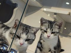 -萌兽医馆·眼科·异宠专科(三里屯店)