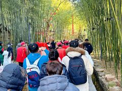 -竹泉村旅游度假区