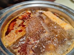 -东道煮牛肉火锅(东盛大街店)