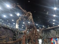 -吉林省自然博物馆