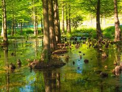 -南京市无想山景区