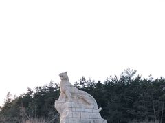 -帽儿山国家森林公园