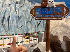 -湘江欢乐城欢乐雪域
