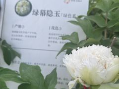 -太阳宫公园