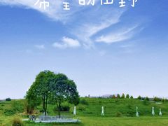 -空港花田景区