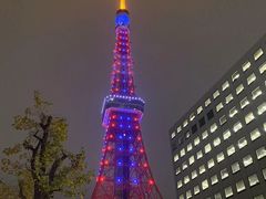 -东京塔海贼王主题公园