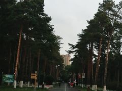 -黑龙江省森林植物园
