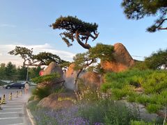 -罗红摄影艺术馆