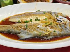 -红灯笼龙凤饭店(宁波老字号店)