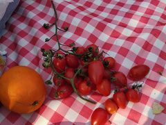 -仙海旅游度假区