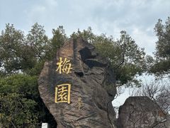 -无锡梅园公园
