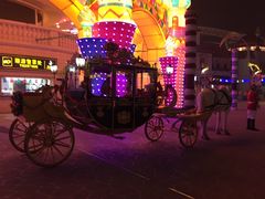 -常州环球恐龙城维景国际大酒店