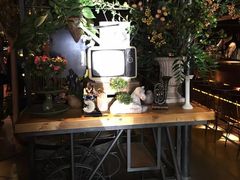 -胡桃里音乐酒馆(曲江店)