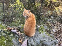 -终南山南五台景区