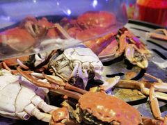 -半岛听涛蒸汽海鲜自助(K11店)