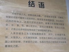 -柳州白莲洞洞穴科学博物馆