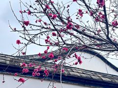 -乌山风景区