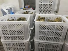 -璐坊粽王(复兴中路店)