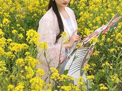 -南汇桃花村