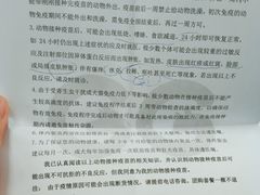 -乖乖宠物医院·猫科·急重症中心(车站北路分院)