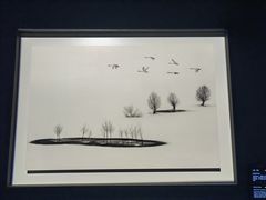 -罗红摄影艺术馆