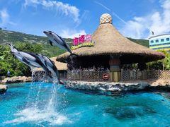 -珠海长隆海洋王国