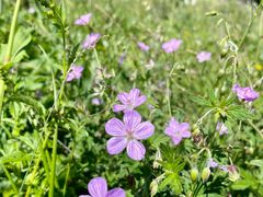-白草畔自然风景区