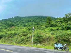 -武陵山森林公园