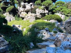 -扬州大运河文化旅游度假区·盆景园