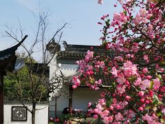 -苏州上方山国家森林公园