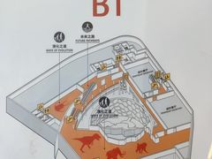 -上海自然博物馆