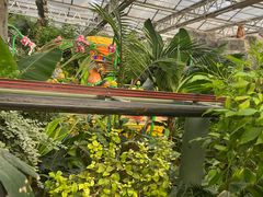 -南宫五洲植物乐园