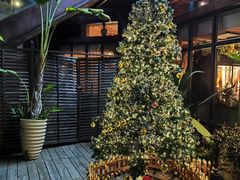 -一棵树·意大利西餐厅One Tree(新城店)