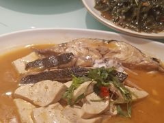 -添福来墨鱼饺子 · 海鲜东北菜(泡崖店)