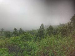 -阳台山自然风景区