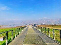 -刘家峡水库