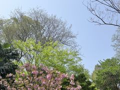-南山风景名胜区