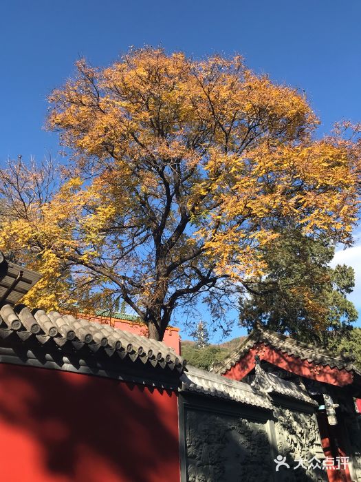 八大處公園-圖片-北京景點/周邊遊-大眾點評網