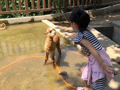 -北戴河集发农业梦想王国