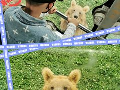 -西安秦岭野生动物园