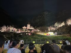 -禅宗少林·音乐大典