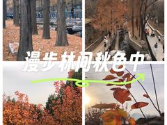 -白水寺森林公园