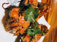 -呼吸森林·生态农庄农家乐私房菜