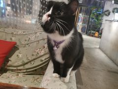 -么么咖啡(燕郊店)