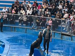 -华夏文旅海洋公园