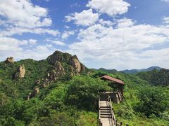 -大岭沟猕猴桃谷风景区