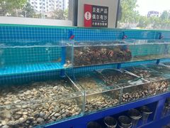 -仙螺岛海鲜自助餐厅(总店)
